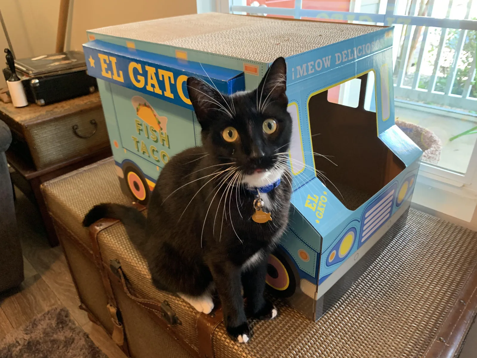 This food truck inspector demands tuna.