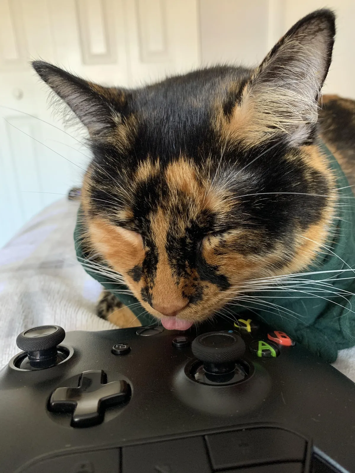 Controller tastes vaguely of regret.