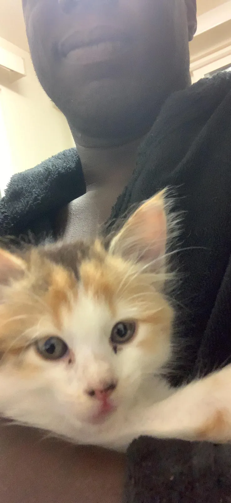 Tiny paws demand immediate head scratches.