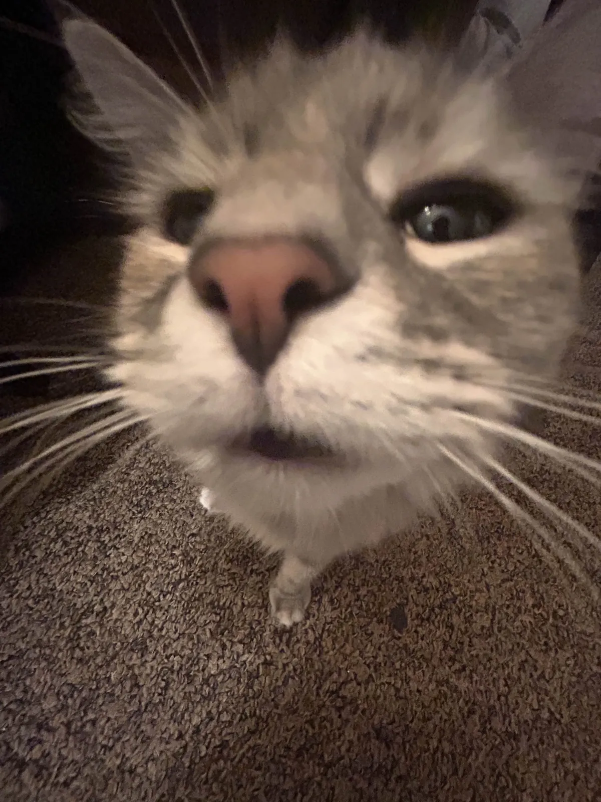 Staring directly at your soul.