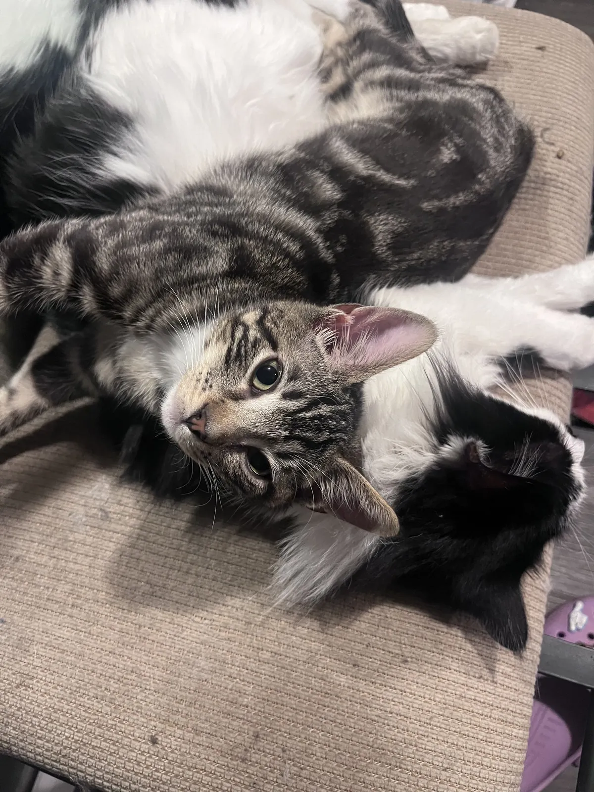 You're not feeding me today.