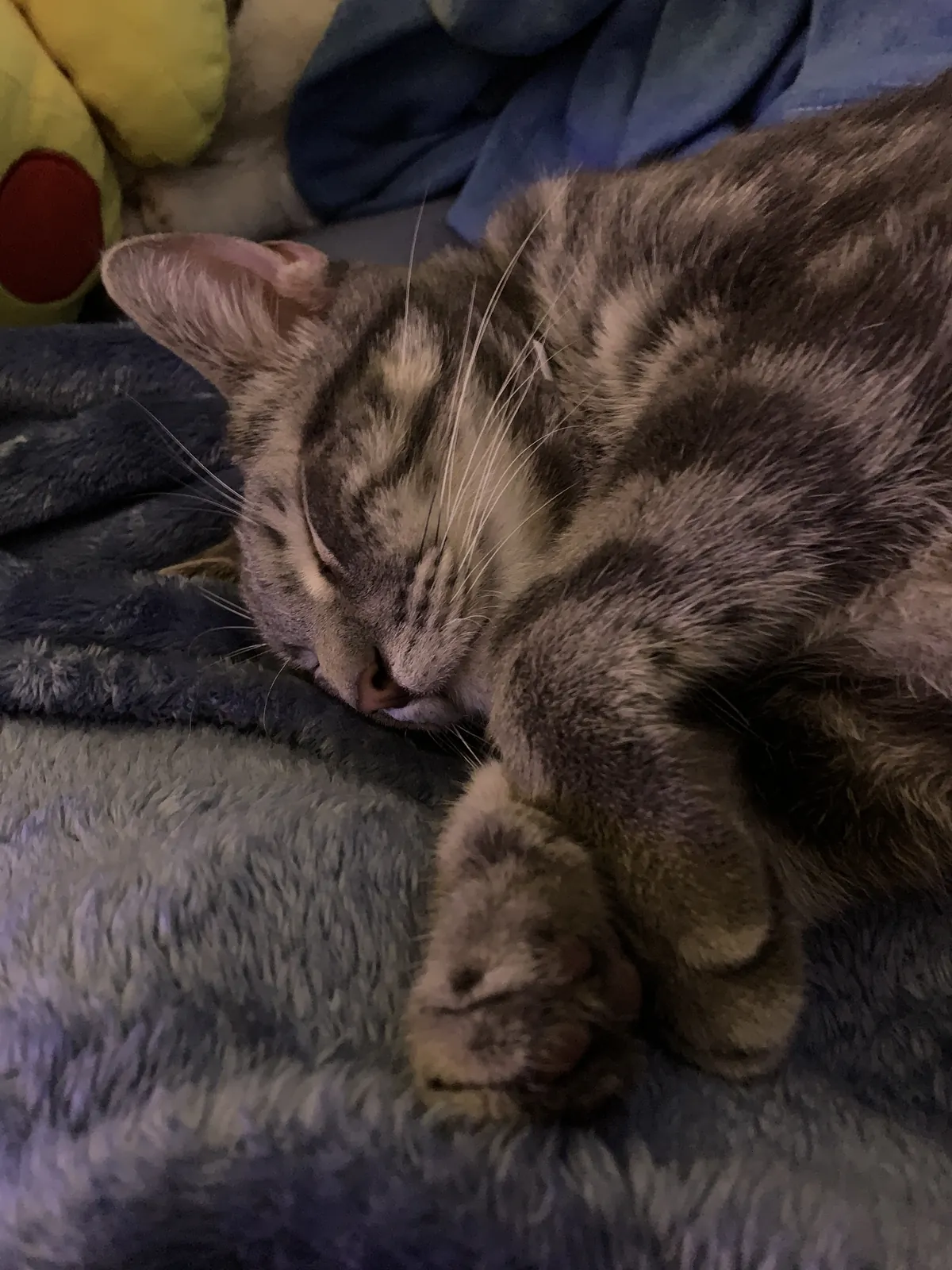 Nap time emergency protocols.