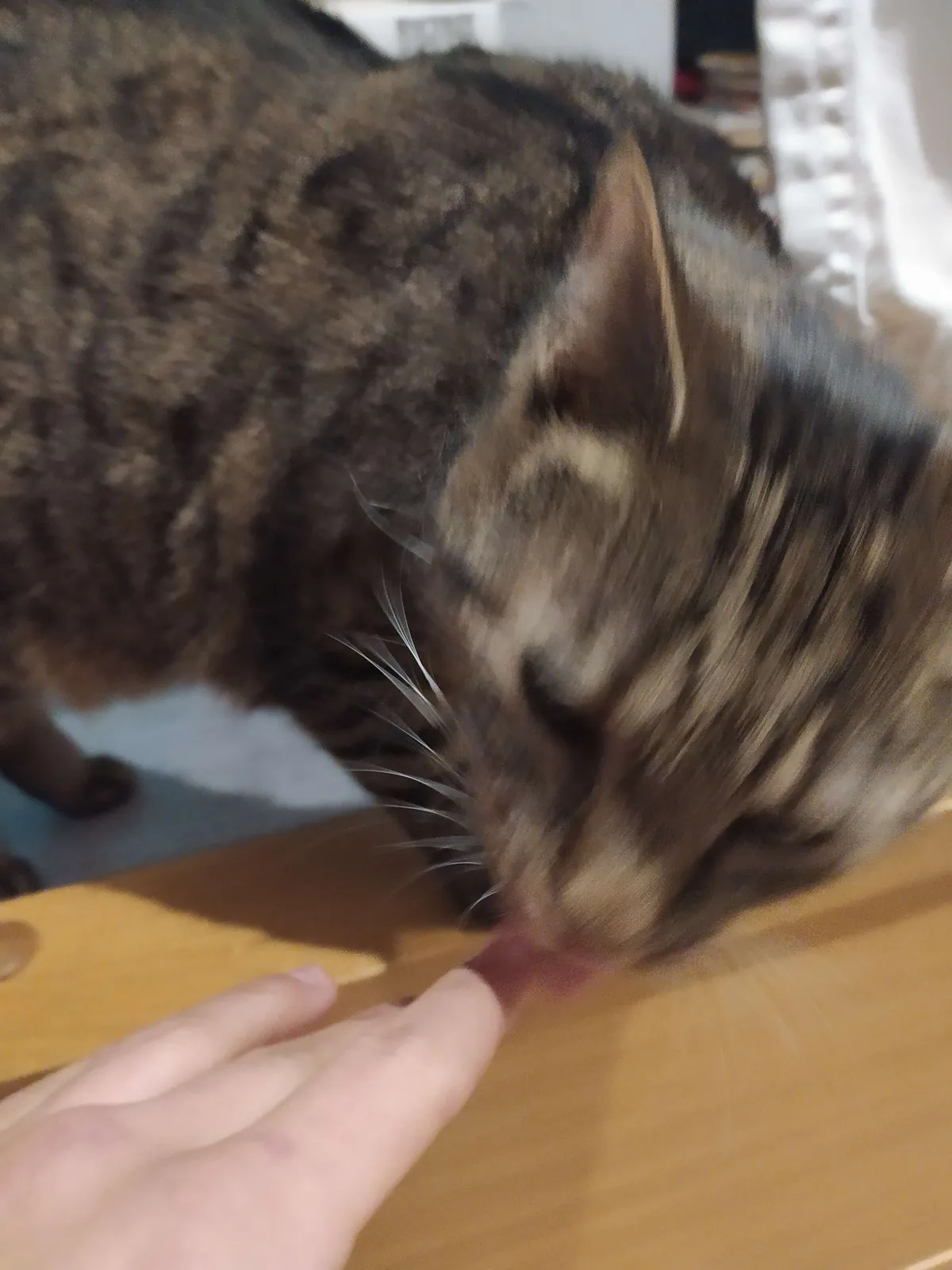 Licking the evidence off your finger.