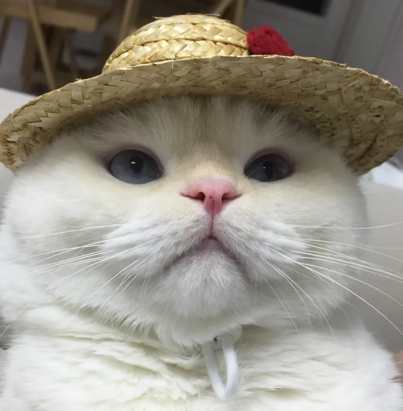 The hat is the suspicious part.