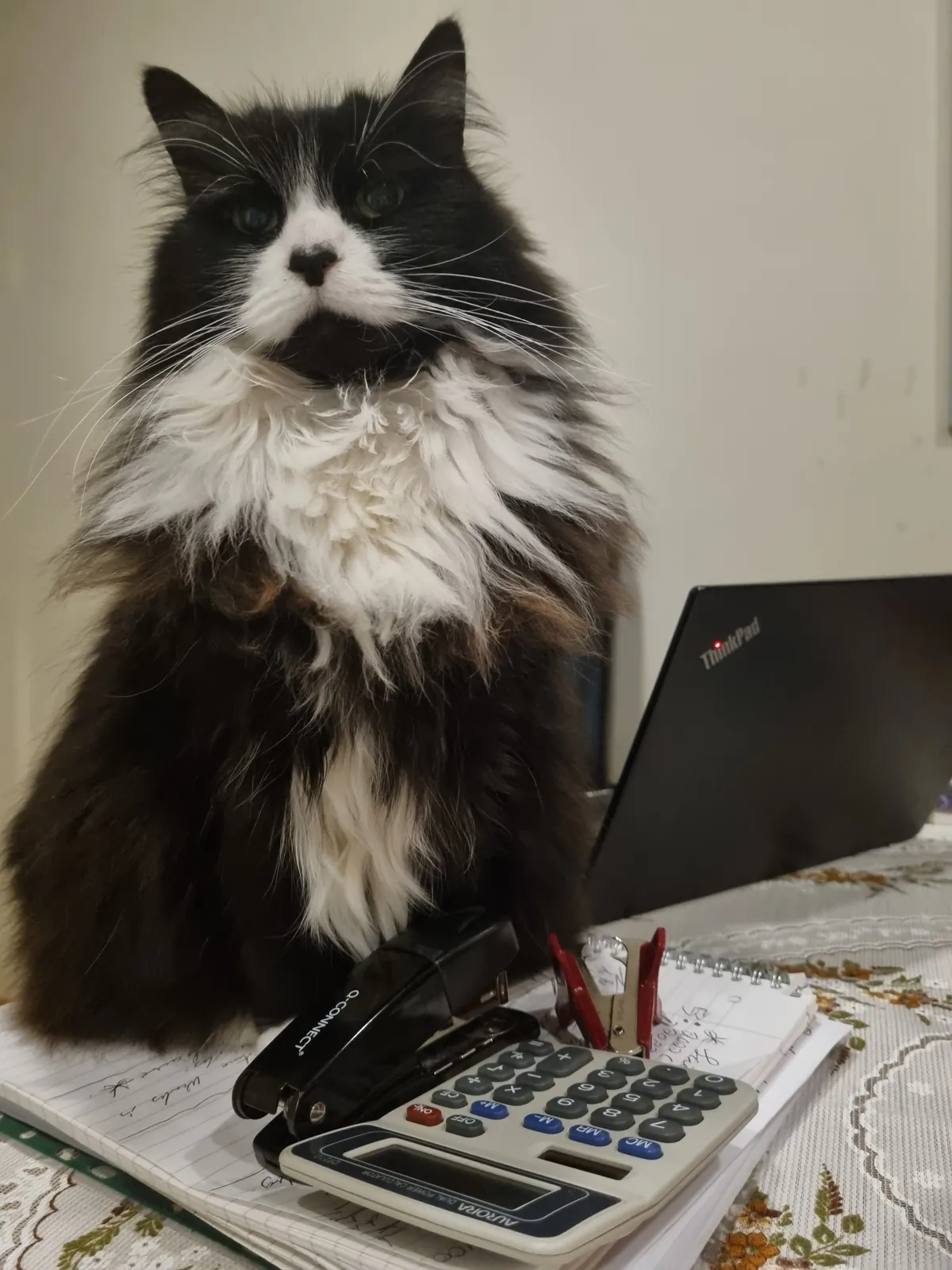 I calculate my worth now.