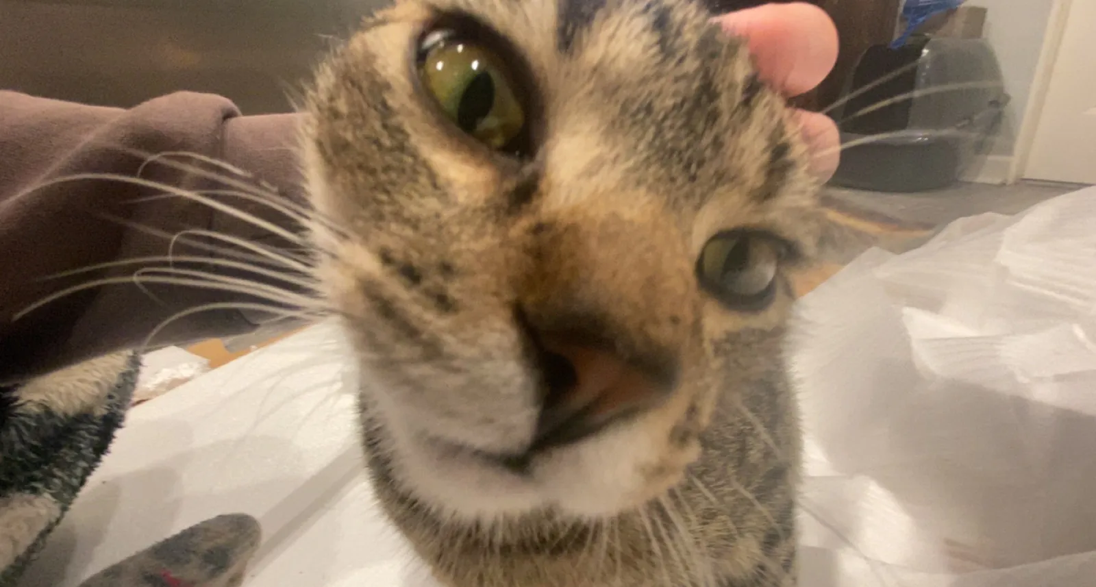 I see you. Now I know.