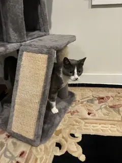 Gravity is currently under review.