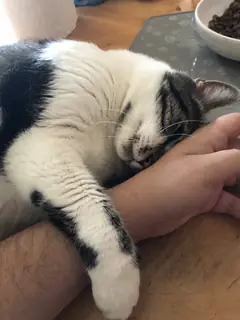 The hand is merely a pillow.