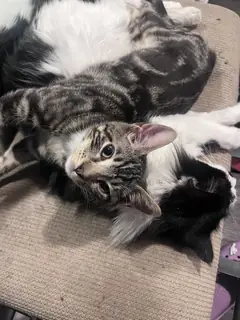 You're not feeding me today.