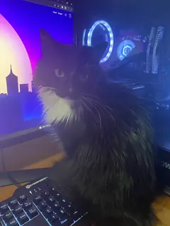 Staring at you from the future.