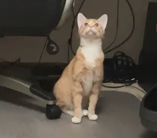 Defendant of the Floor.