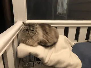 accusing you of theft