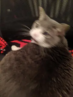 The Duchess is reviewing your file.