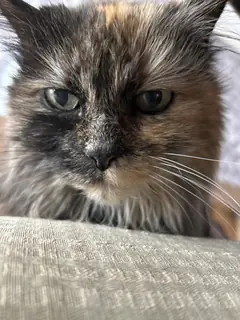 I have seen things you cannot imagine.
