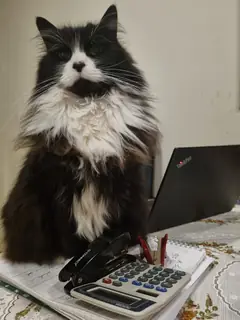 I calculate my worth now.