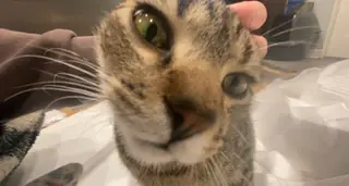 I see you. Now I know.